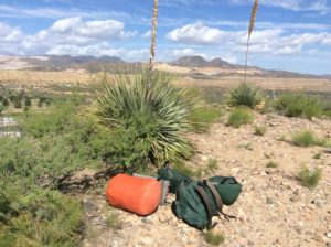 "The Portage". The yuccas I think are sotols, a plant I more associate with the Chijuajuan Desert.