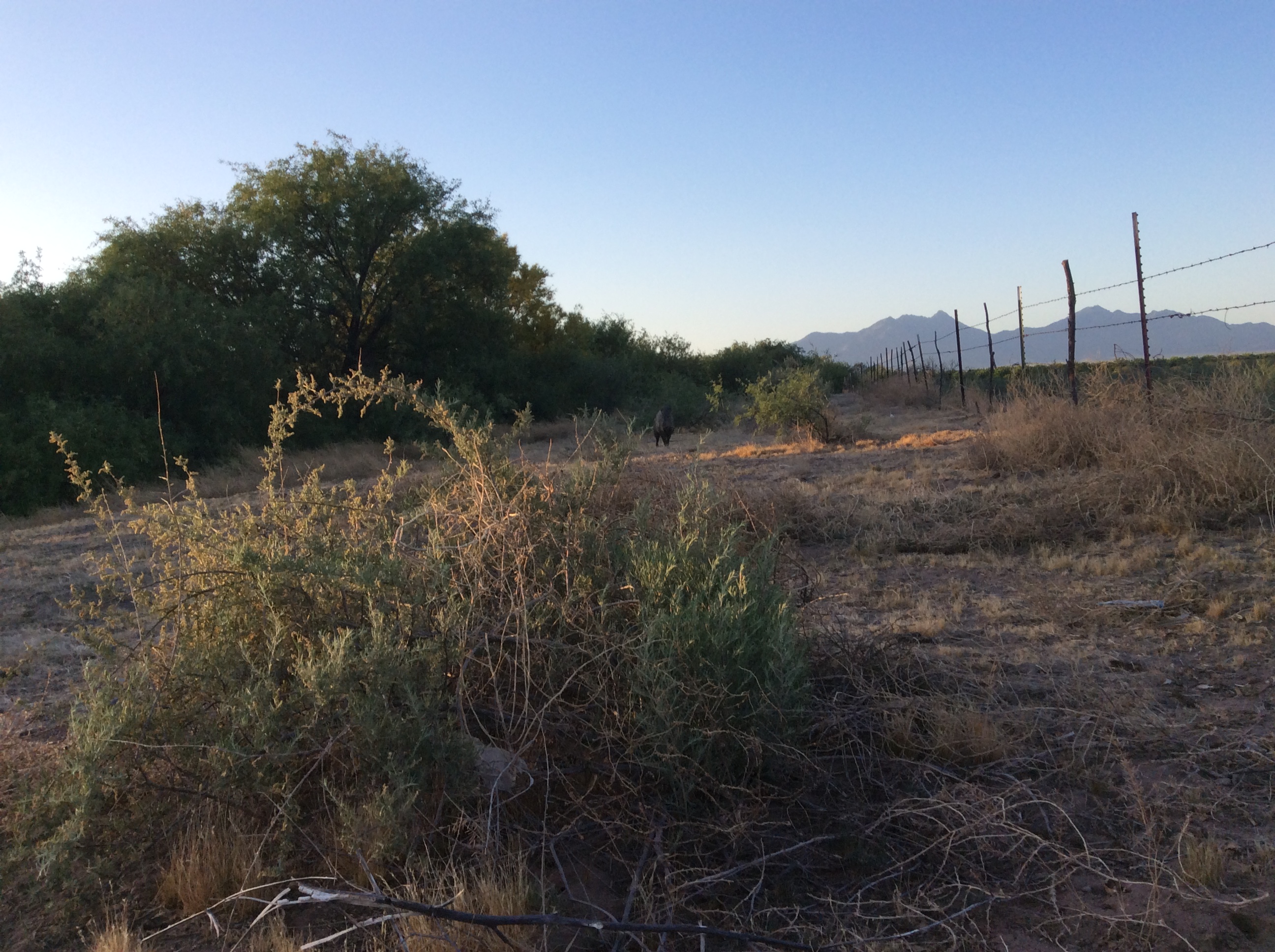 Cycling the Americas – Page 3 – CyclingAgain