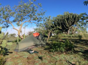 This was such a great camp I knocked off twenty miles early and spent the afternoon hiking around and taking pictures. Rained hard that night with some of the sharpest thunder I've heard in a while