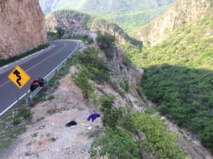 Along the Tehuantepec River