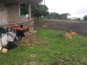 Makin' friends in Oaxaca. Foods on top of the orange stuff sack.