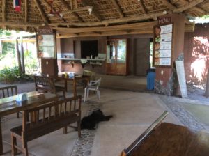 Patio where I could write. Frogs and crabs of all sizes would come out in the evenings.