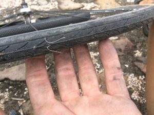 These are wires from tire fragments that collect on the shoulders. They caused many flats.
