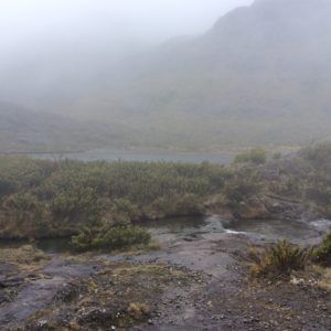 The day started clear but mist came from the Atlantic side that led to some light rain.