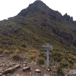 Chirripo Summit. For the climbers out there, the fina summit trail was "3rd class".