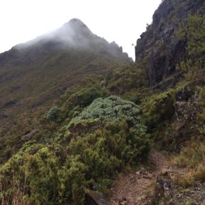 Chirripo summit, a genuine horn.