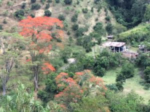 Beginning La Linea near Ibague.