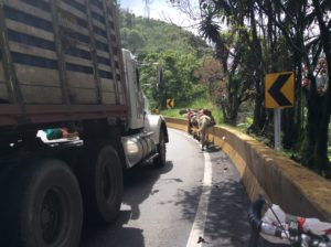 Sharing the road.