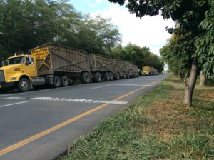 These behemoths weren't common but you'd see them. This one's 5 cars long. They don't travel that fast, but the last trailer is usually moving side-to-side 2 or 3 feet.