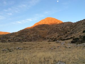 Took an evening hike to the top of this little peak.