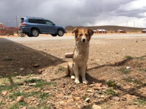 Bolivian friends.