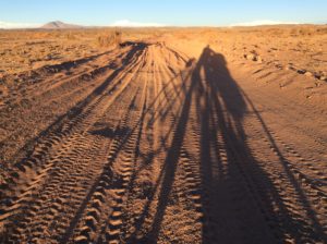 Sandy sections. It's late in the day and windy and cold.