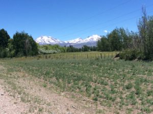 Could be a spring scene in the Rockies.